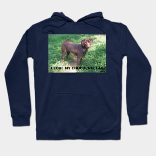 Labrador Retriever Chocolate love with picture Hoodie